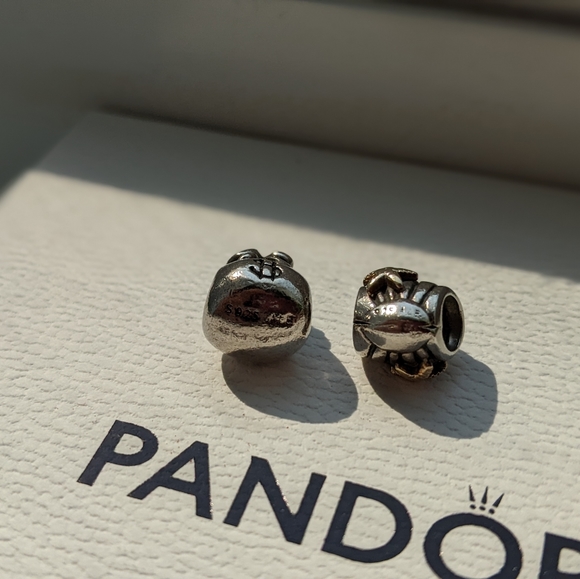 ᏢᎪΝᎠϴᎡᎪ ᎷϴΝᎬᎽ ᏴᎪᏀ & ՏᎻᎬᏞᏞ ᏟᎻᎪᎡᎷ - Picture 2 of 3